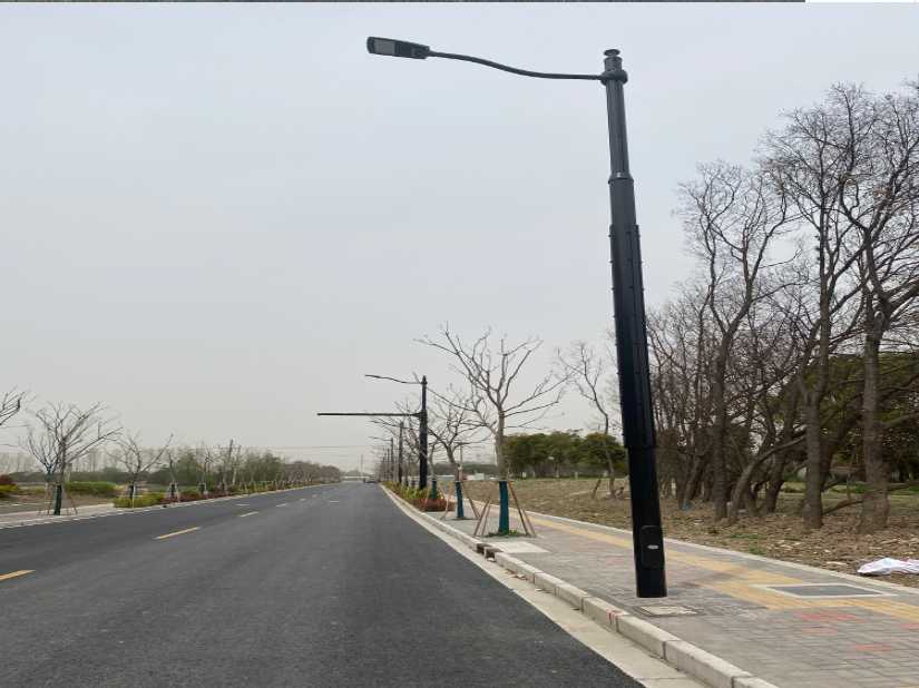 成都市上海综合杆 太阳能路灯工程